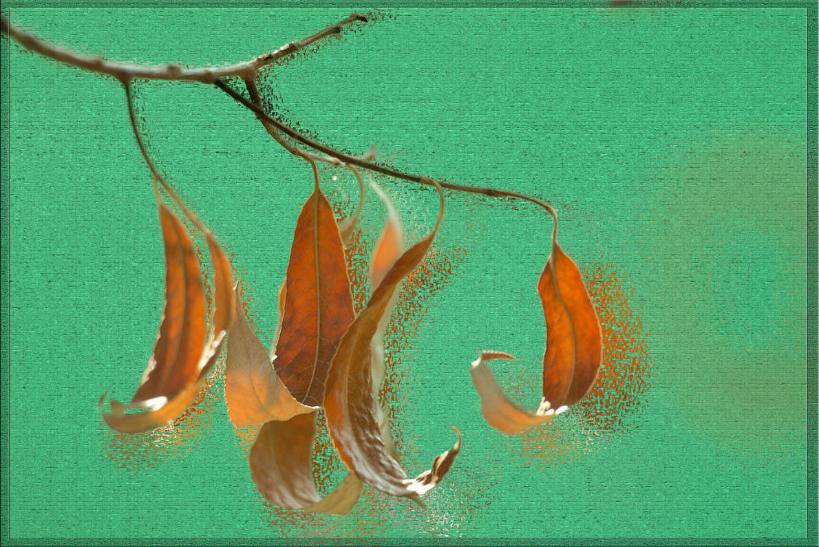 �� ���� ����� �������� ���� ����� ������  �� PhotoGeek.ru #�������� ����������