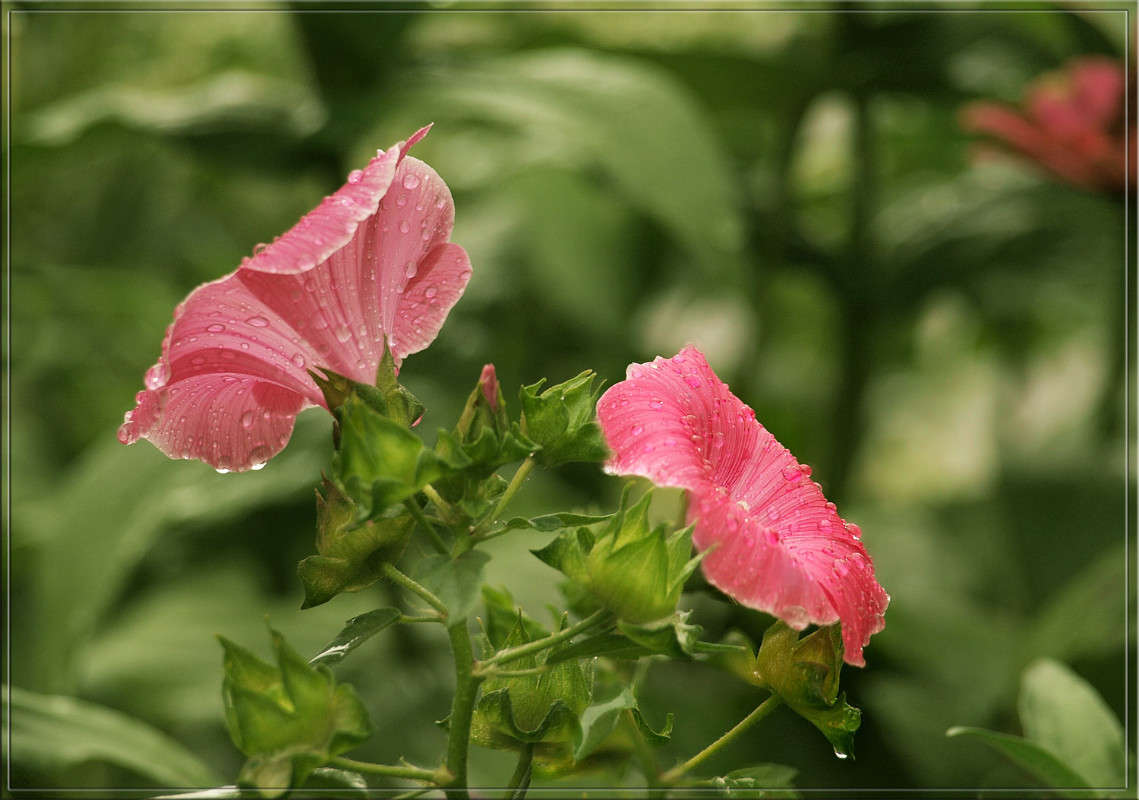 �������� ����� ������  �� PhotoGeek.ru #������ ��� �������