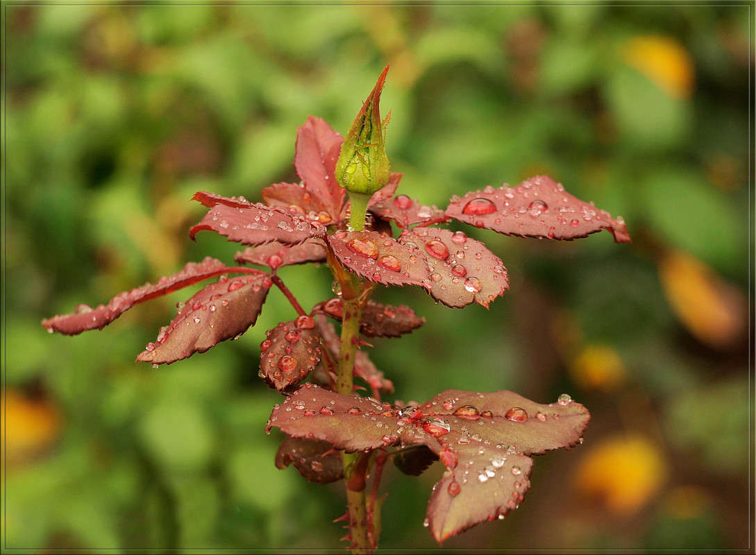 ����� �������� ����� ������  �� PhotoGeek.ru #������ ��� �������