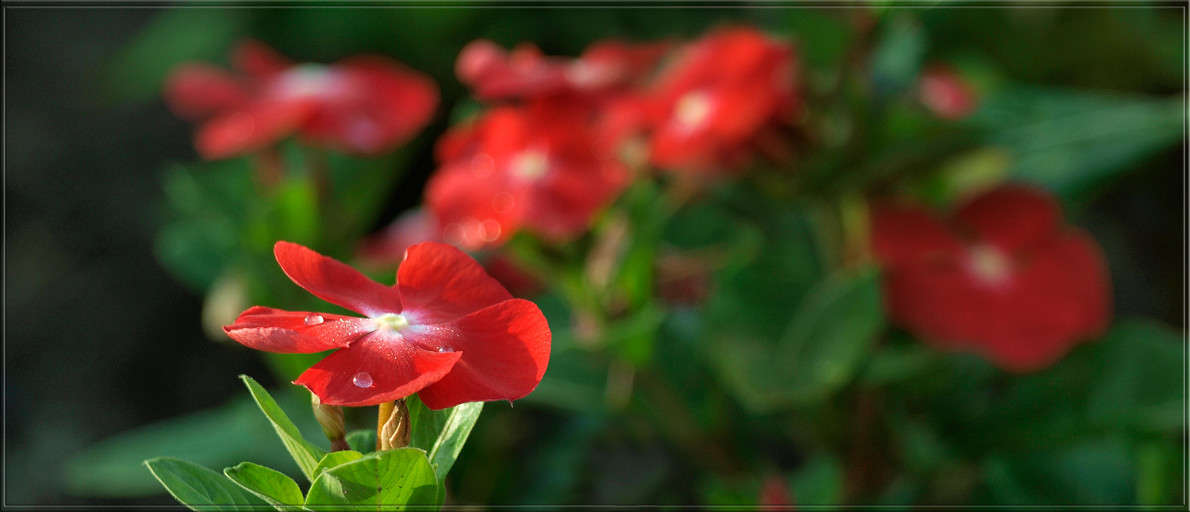 ������� ���������� ����� ������  �� PhotoGeek.ru #������ ��� �������