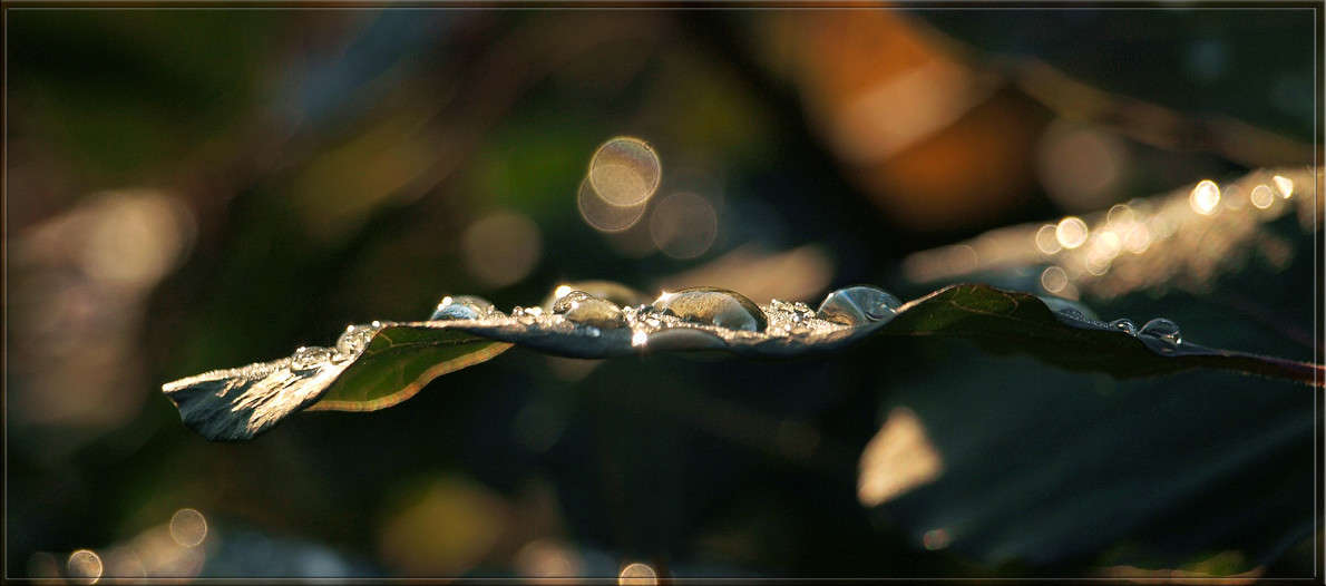 ������������� ����� ������  �� PhotoGeek.ru #������ ��� �������