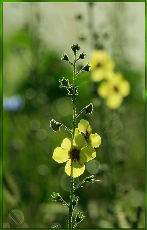 ������ ����� ������  �� PhotoGeek.ru #������ ��� �������