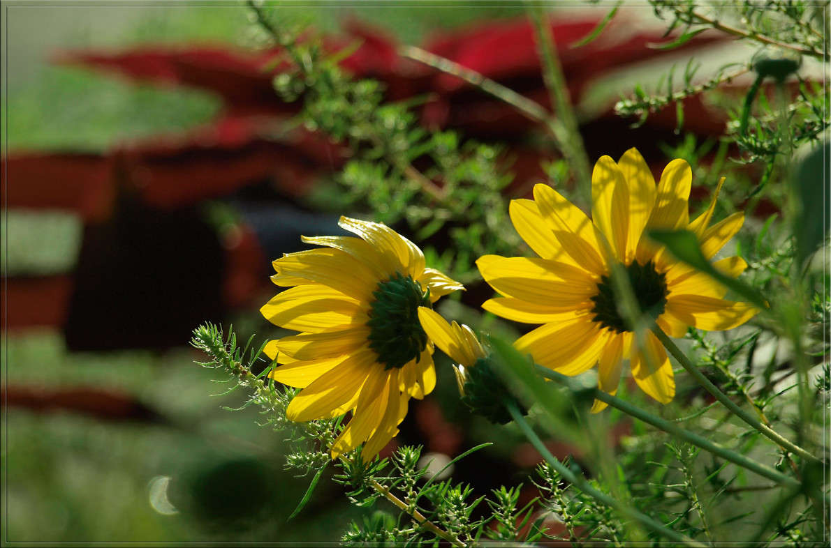 �������� �������� ����� ������  �� PhotoGeek.ru #������ ��� �������