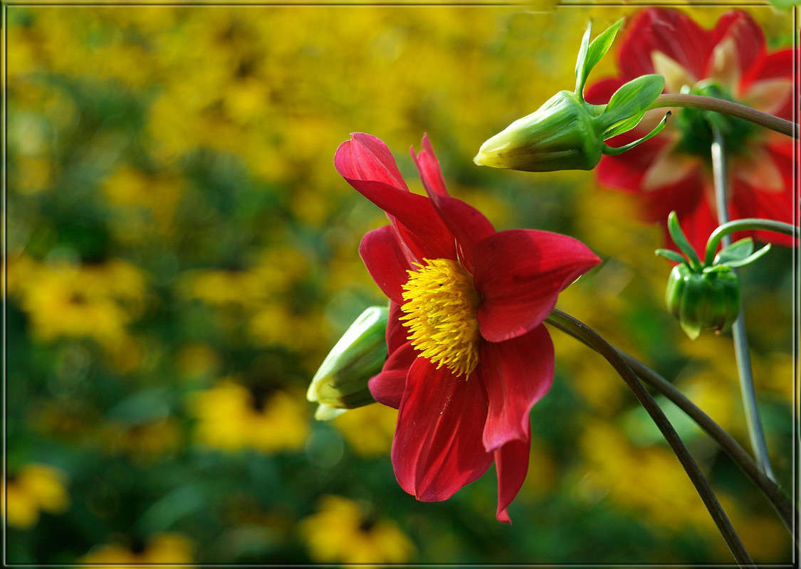 � ����������� ����� ������  �� PhotoGeek.ru #������ ��� �������