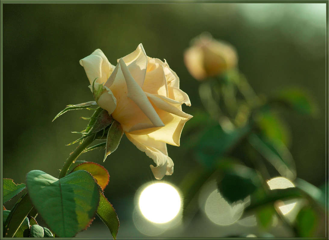 �������� ������� ����� ������  �� PhotoGeek.ru #������ ��� �������