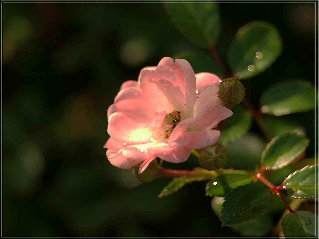 ��������� ������� ����� ������  �� PhotoGeek.ru #������ ��� �������