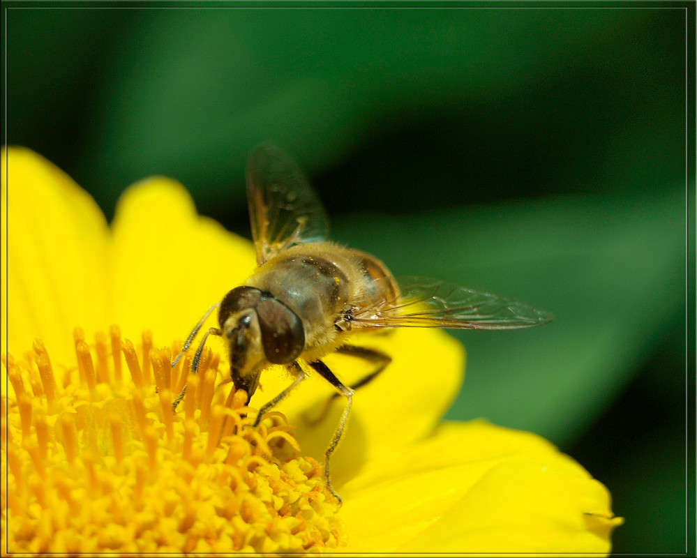 ����������� ������ ����� ������  �� PhotoGeek.ru #�����