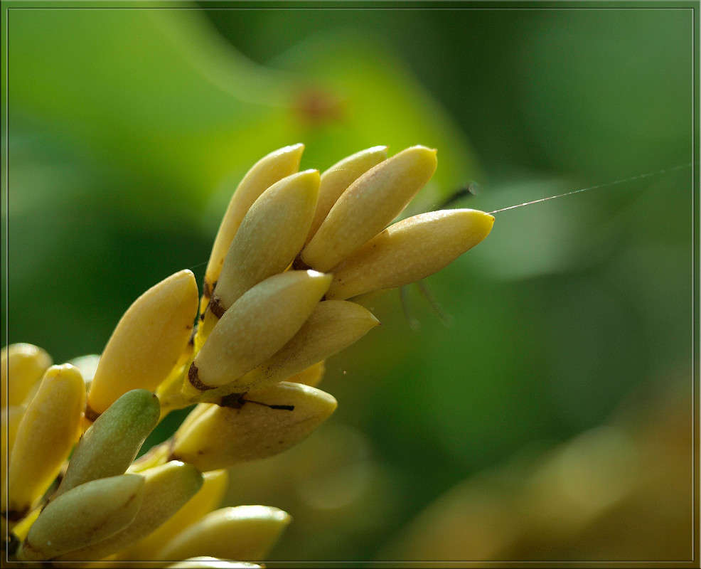 ������ ������� ����� ������  �� PhotoGeek.ru #������ ��� �������