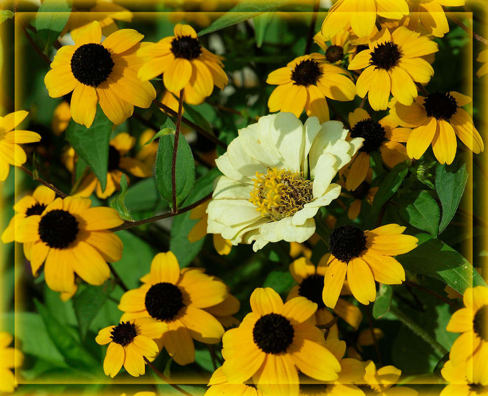 ����� ����� ����� ����� ������  �� PhotoGeek.ru #������ ��� �������