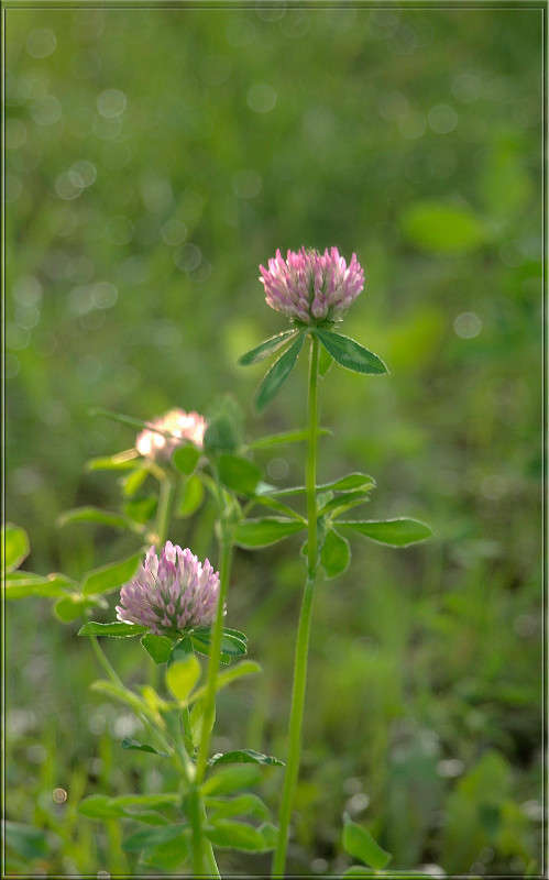 ������ ����� ������  �� PhotoGeek.ru #������ ��� �������