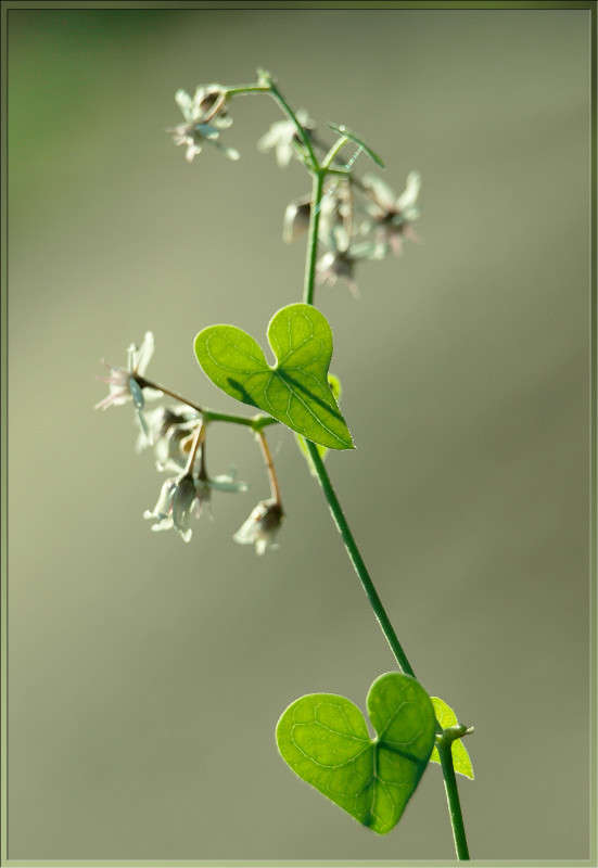 ������� �������� ����� ������  �� PhotoGeek.ru #������ ��� �������