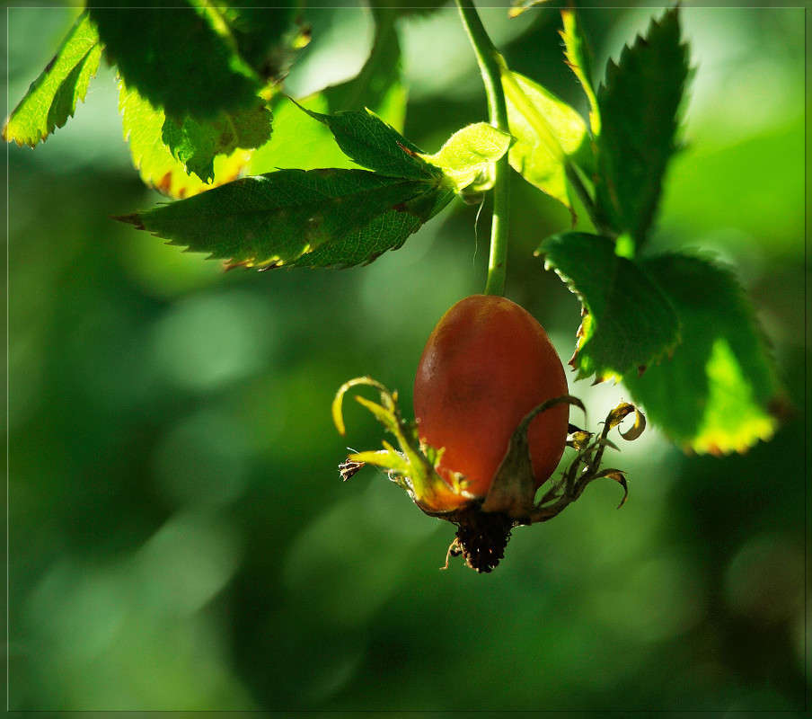 ����� ������ ����� ������  �� PhotoGeek.ru #������ ��� �������