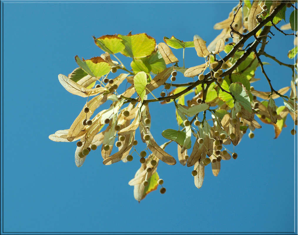 ����� ���� ������� ����� ������  �� PhotoGeek.ru #������ ��� �������