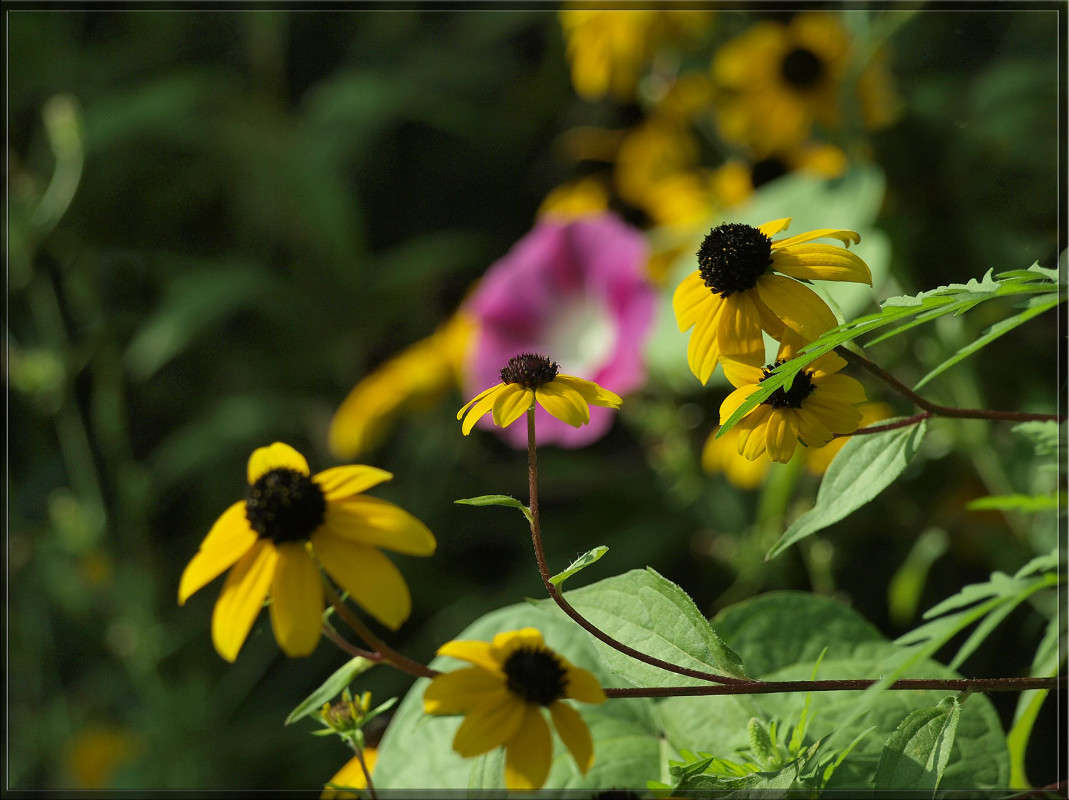 ������� ������ ����� ������  �� PhotoGeek.ru #������ ��� �������