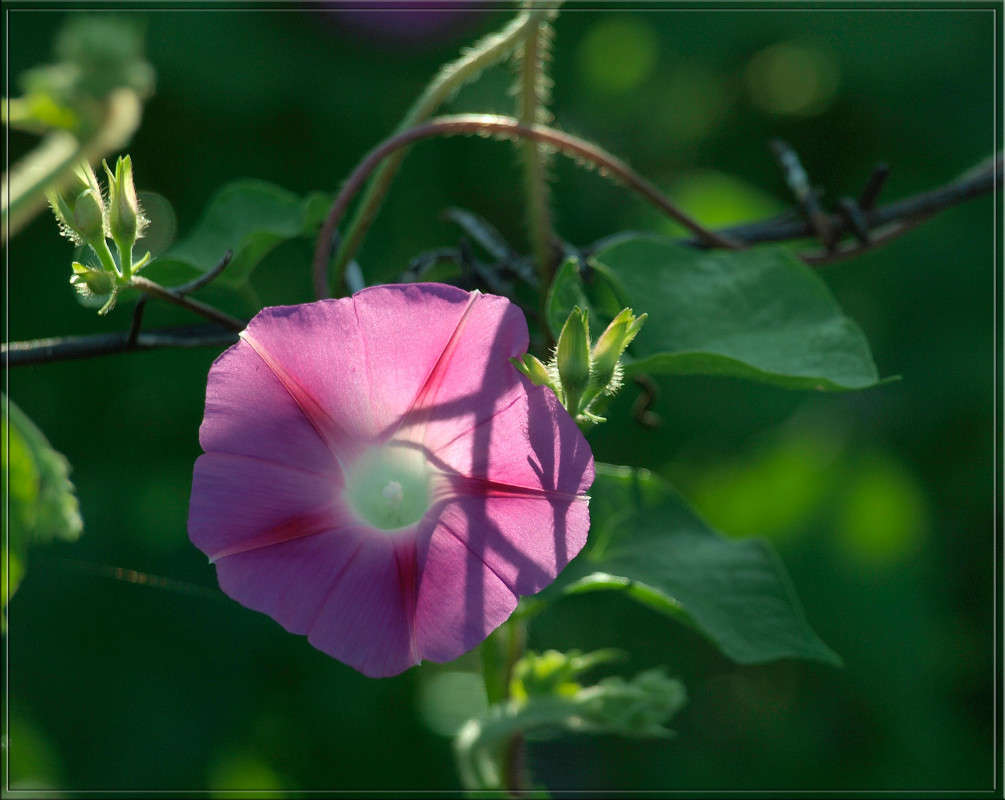 �� ������� ��������� ����� ������  �� PhotoGeek.ru #������ ��� �������