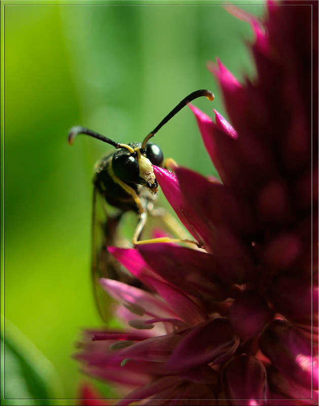 � ������������� ����� ����� ������  �� PhotoGeek.ru #�����