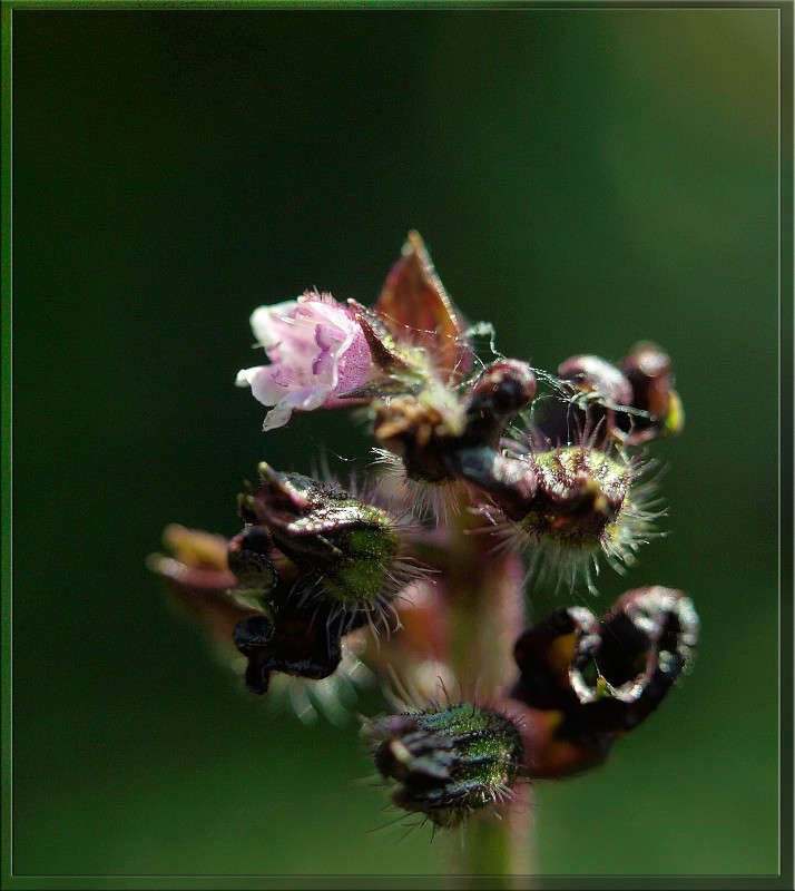 �������� ������ ����� ������  �� PhotoGeek.ru #�����