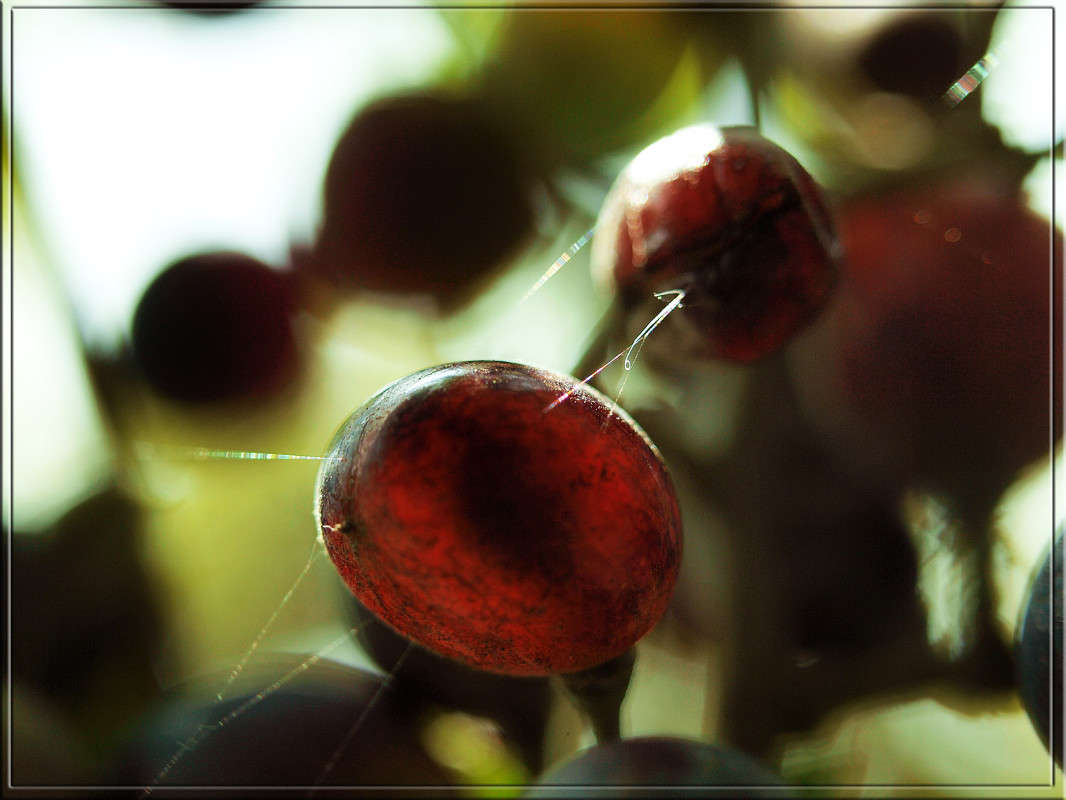 ����������� � �������� ����� ������  �� PhotoGeek.ru #������ ��� �������