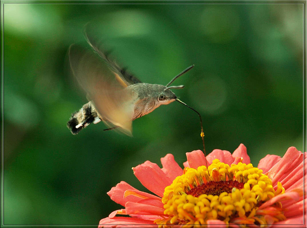 ����� ���� ����� ������  �� PhotoGeek.ru #�����