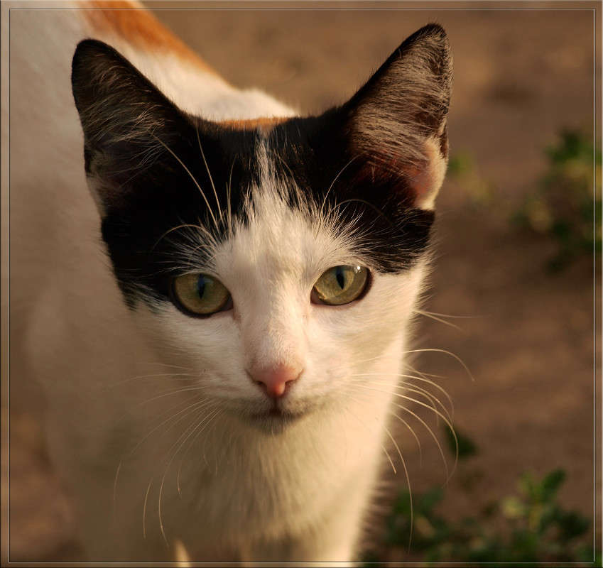 ������ ������ ����� ������  �� PhotoGeek.ru #�������� ���