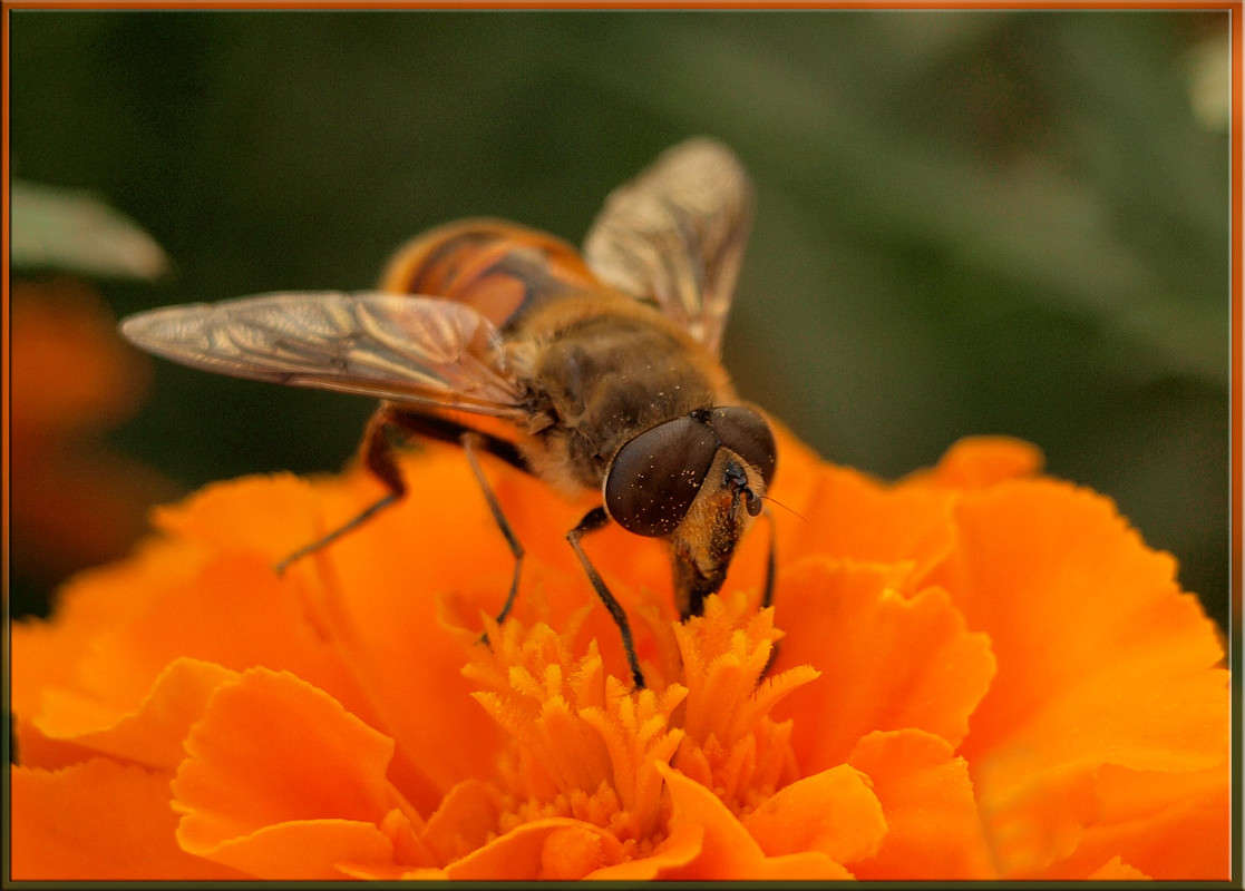 �� �������� ����� ������  �� PhotoGeek.ru #�����