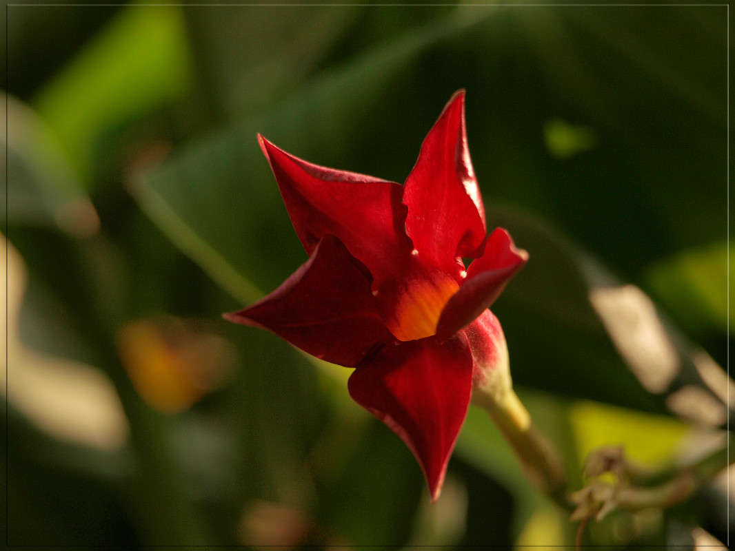 ������� ���������� ����� ������  �� PhotoGeek.ru #������ ��� �������