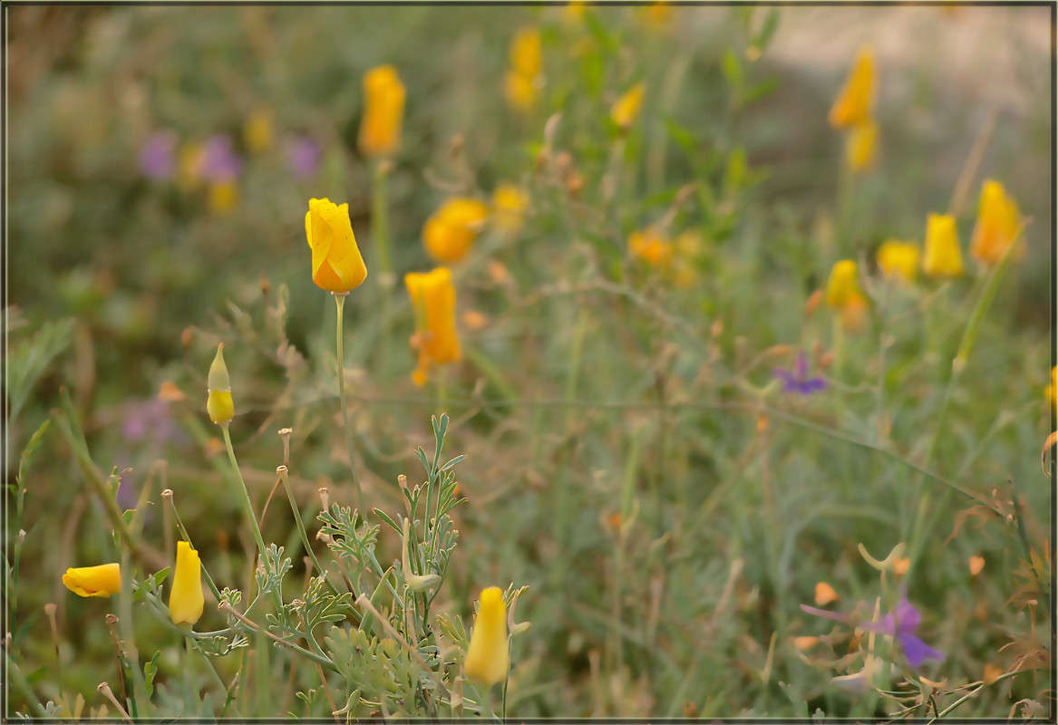 ���������� ������ ����� ������  �� PhotoGeek.ru #������ ��� �������