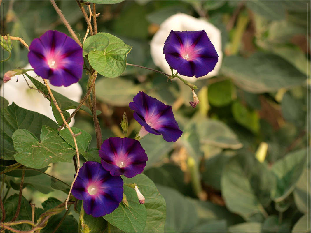 ��������� ����� ������  �� PhotoGeek.ru #������ ��� �������