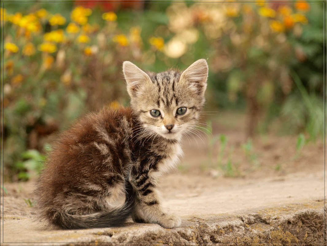 ������� � ������� ���� ����� ������  �� PhotoGeek.ru #�������� ���