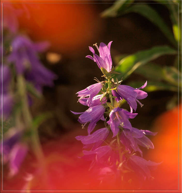 ����� ��� ����� ������  �� PhotoGeek.ru #������ ��� �������