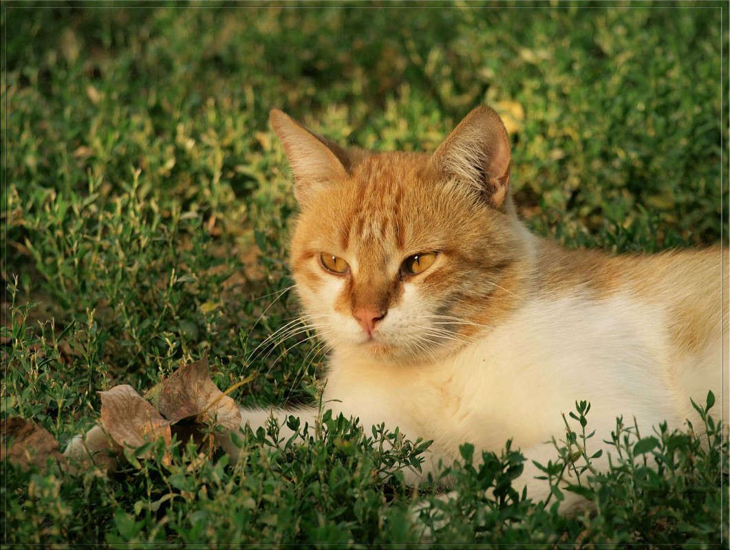 ���� � ������� ����� ������  �� PhotoGeek.ru #�������� ���