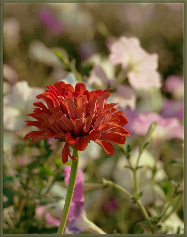 ��������� ����� 2 ����� ������  �� PhotoGeek.ru #������ ��� �������