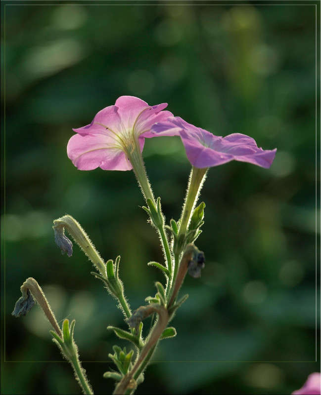 ��������� ����� 3 ����� ������  �� PhotoGeek.ru #������ ��� �������