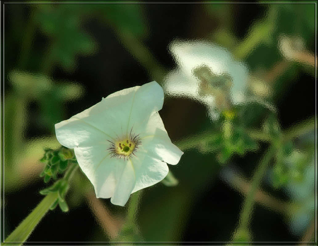 ��������� ����� 4 ����� ������  �� PhotoGeek.ru #������ ��� �������