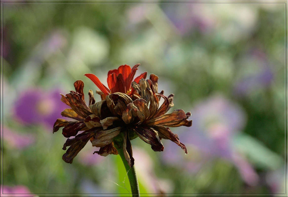 ��������� ����� 1 ����� ������  �� PhotoGeek.ru #������ ��� �������