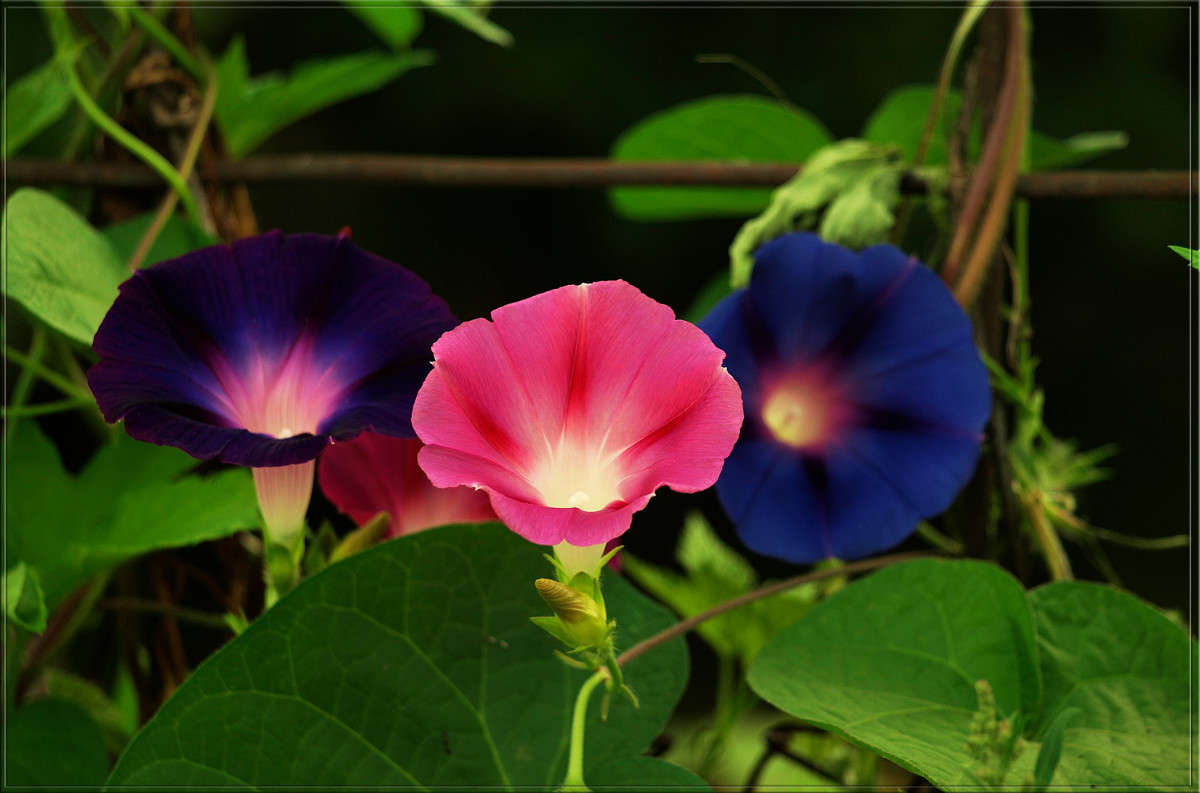 �������.jpg ����� ������  �� PhotoGeek.ru #������ ��� �������