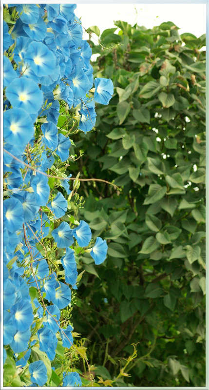 ������� ����� ������  �� PhotoGeek.ru #������ ��� �������