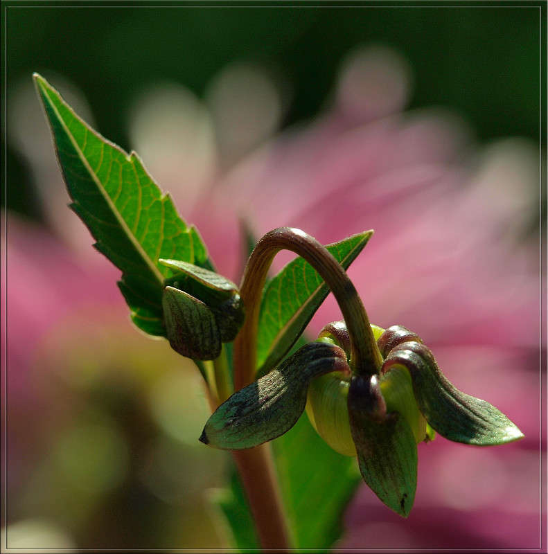 ������� �������� ����� ������  �� PhotoGeek.ru #������ ��� �������