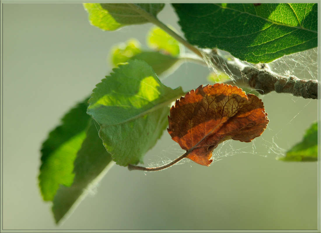 ������ ������� ����� ������  �� PhotoGeek.ru #������ ��� �������