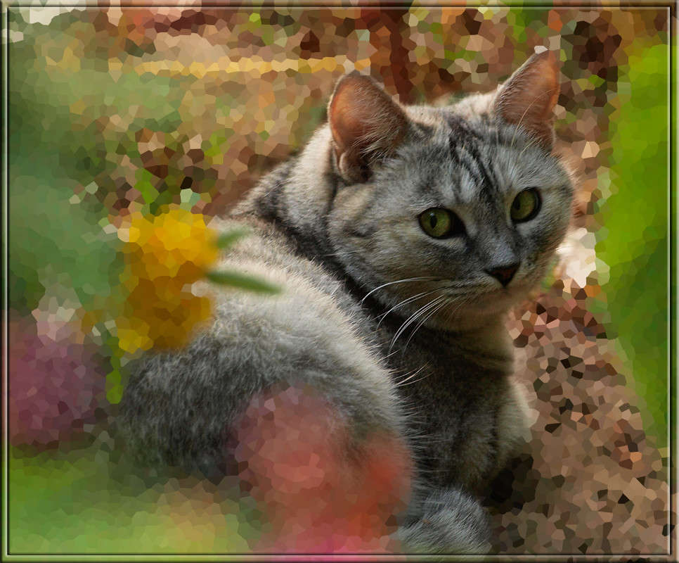 ����� ������ ����� ������  �� PhotoGeek.ru #�������� ���