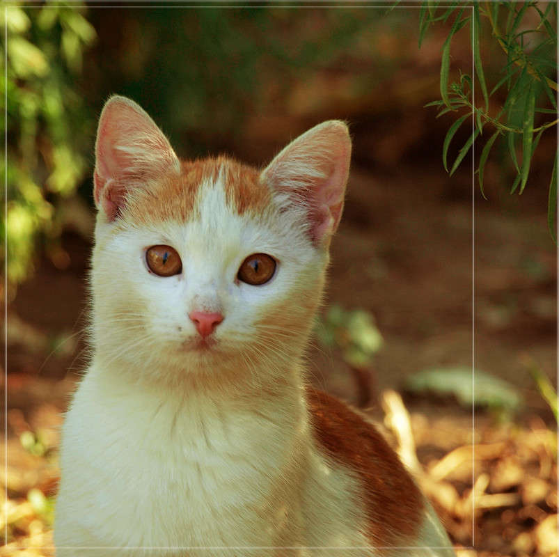 � ������������ ������� ����� ������  �� PhotoGeek.ru #�������� ���