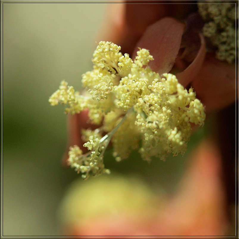 ����������� ������ ����� ������  �� PhotoGeek.ru #������ ��� �������