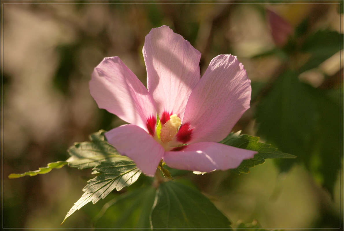 �������� ������ ����� ������  �� PhotoGeek.ru #������ ��� �������