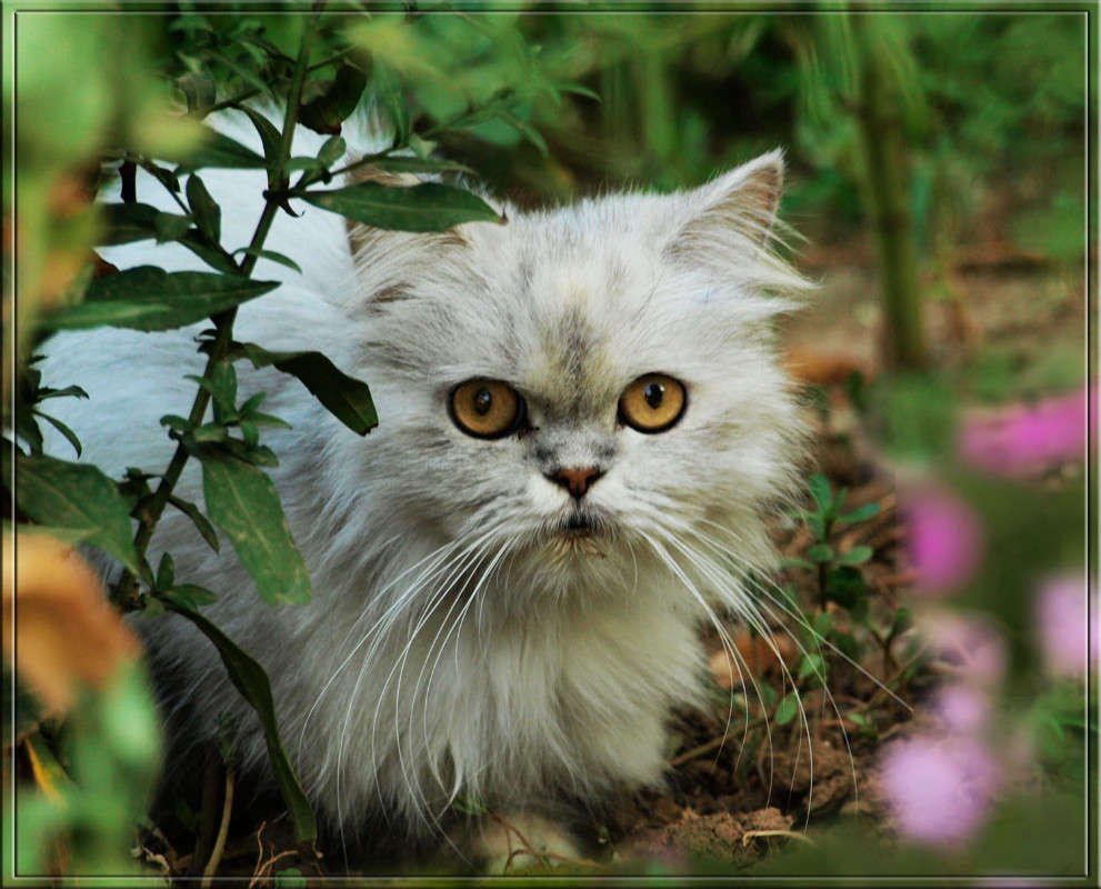 ��������� �� ���� ����� ������  �� PhotoGeek.ru #�������� ���