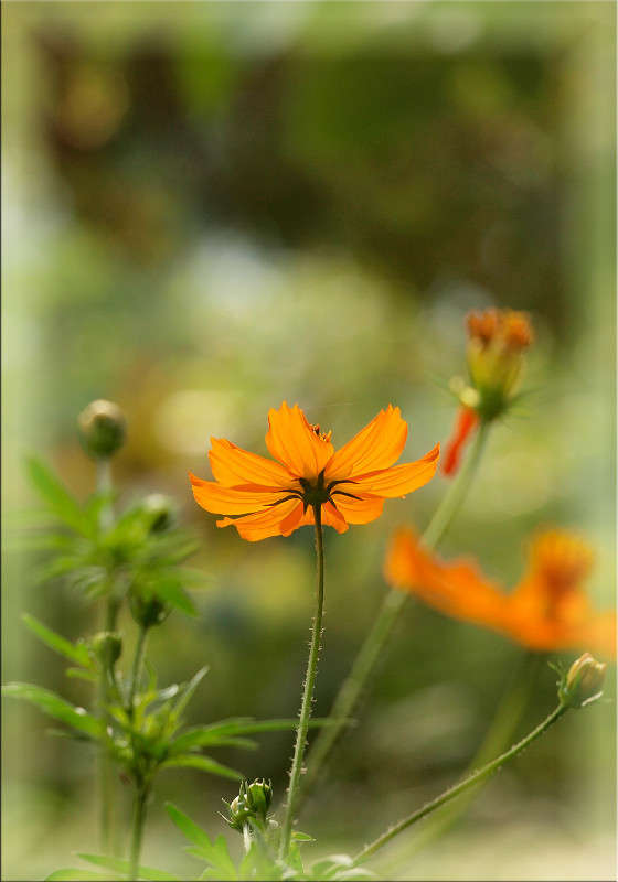 �������� ����� ������  �� PhotoGeek.ru #������ ��� �������