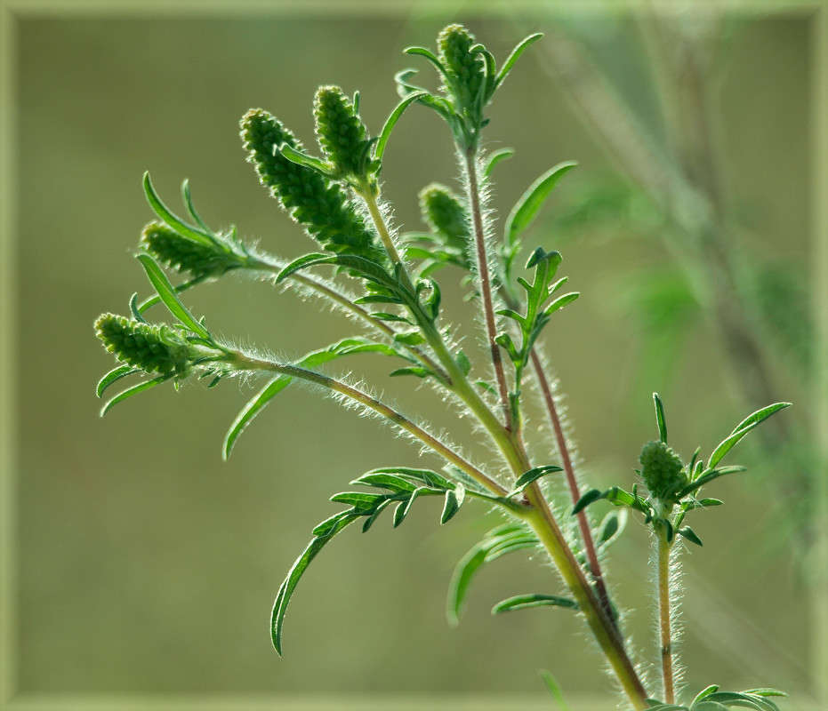 �� ��� ���������� ����� ������  �� PhotoGeek.ru #������ ��� �������