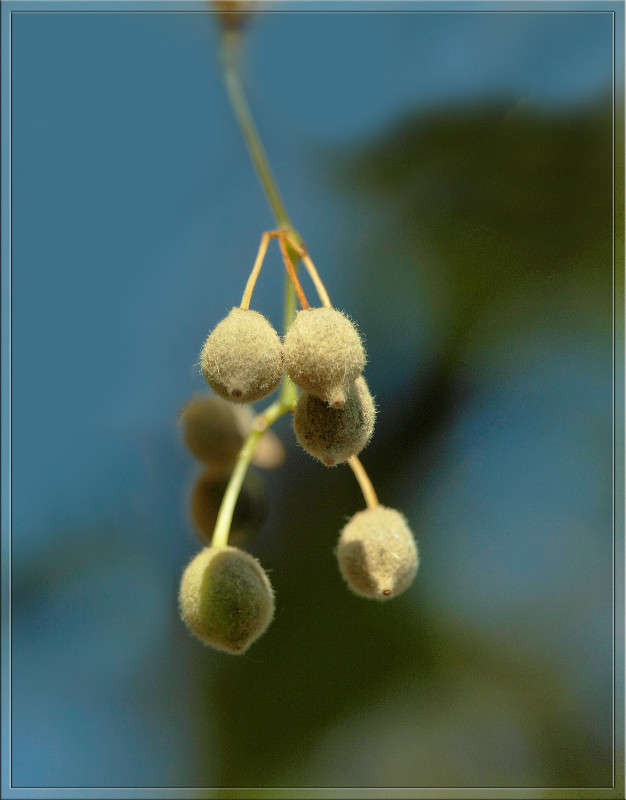 ������� ������ ����� ������  �� PhotoGeek.ru #������ ��� �������