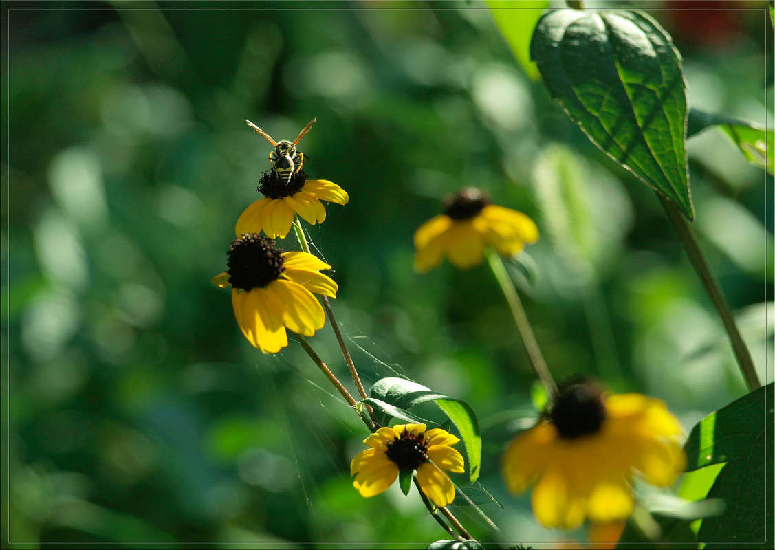 ��� ����� ����� ������  �� PhotoGeek.ru #������ ��� �������