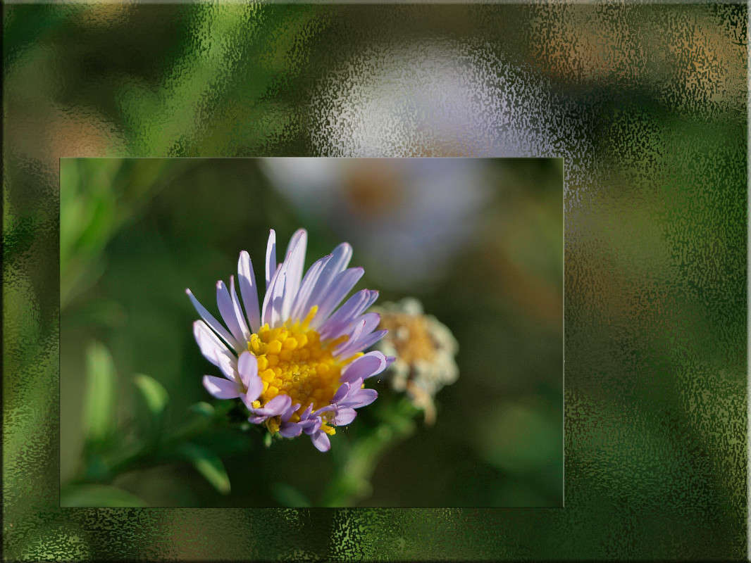 ��� ������� ������������ ����� ������  �� PhotoGeek.ru #������ ��� �������