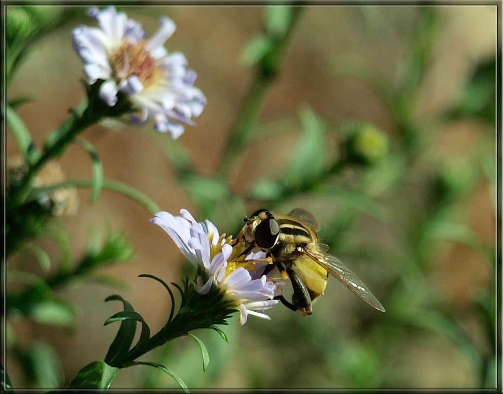 ��������� ���� ����� ������  �� PhotoGeek.ru #�����